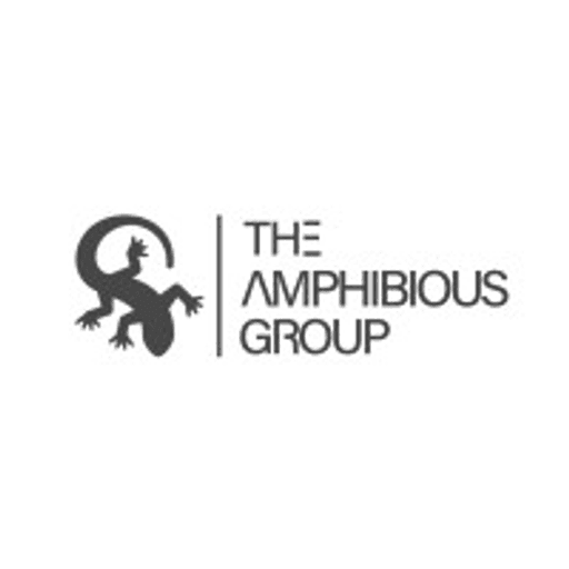 The Amphibious Group